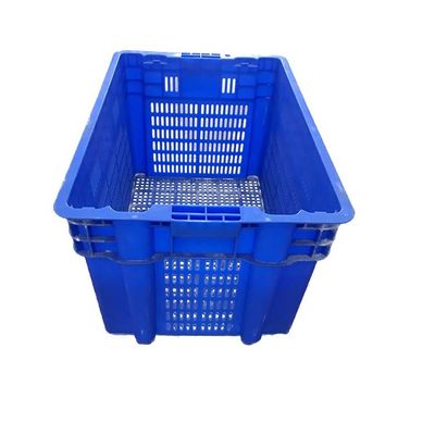 Dimensione interna accatastabile delle casse 510x350 di stoccaggio della frutta blu di 60*40cm